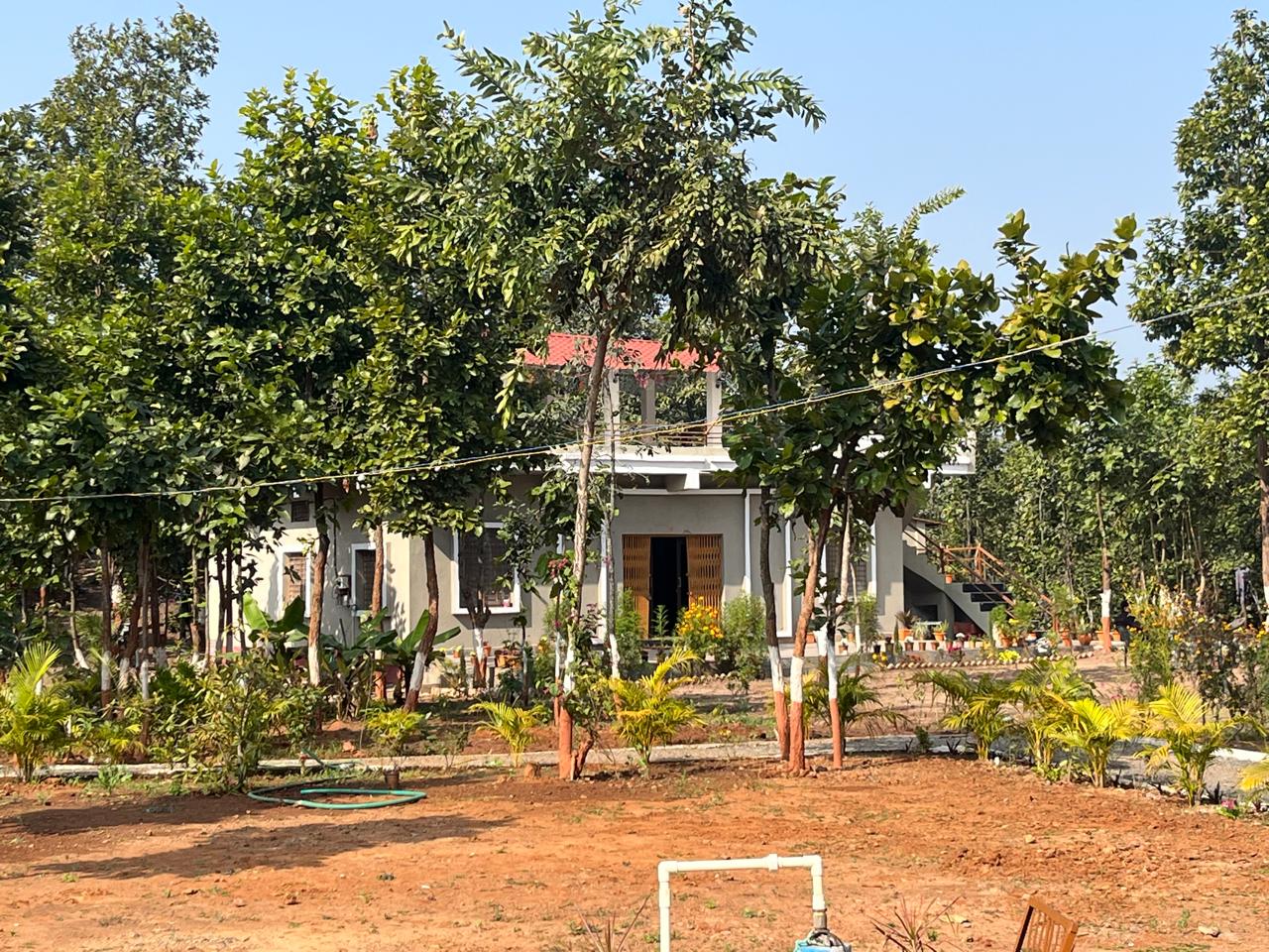 Luxury resort pool with palm trees at sunset